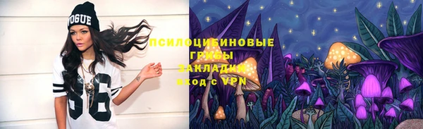 прущие грибы Алексин