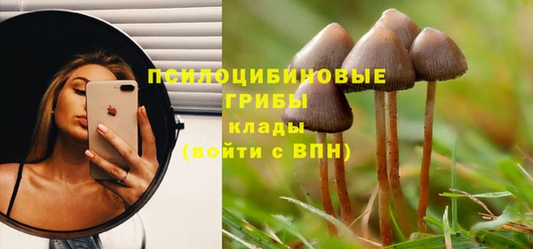 apvp Абаза