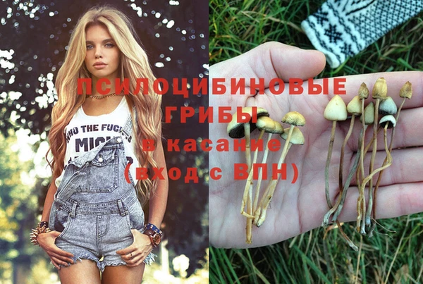 прущие грибы Алексин