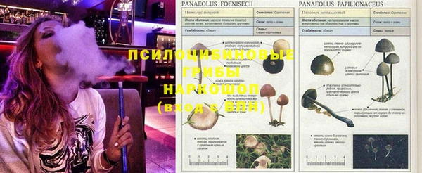 эйфоретик Алексеевка