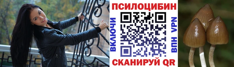 Псилоцибиновые грибы ЛСД  площадка официальный сайт  Цоци-Юрт 