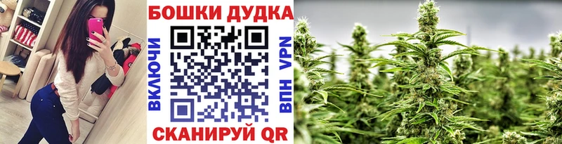 Марихуана AK-47  купить наркоту  Цоци-Юрт 